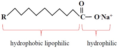 structure of soap molecule